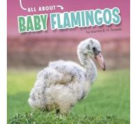 Martha E H Rustad Baby Flamingos (Copertina rigida) All about Baby Animals