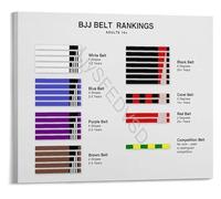 Martial Arts BJJ Belt Rank Poster Brazilian Jiu-Jitsu Order Progression Guide Educational Reference Chart Gift for Men(Unframed,12x18inch(30x45cm))