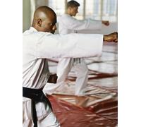 Martial Arts Journal