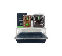 Martian Kit per la coltivazione di funghi Monotub | Sistema di coltivazione di funghi tutto in uno con substrato sfuso e sacchetto di grano sterilizzato | Alta resa 1 kg + | Installazione completa per