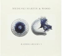 Martin and Wood Medeski - Radiolatians 1