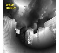 Martin Archer, John Jasnoch, Sarah Farmer & Lee Boyd Allatson Wasp Honey (CD)
