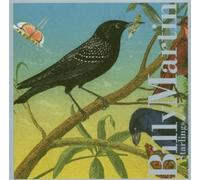 Martin Billy - Starlings