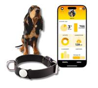 Martin Coach - Tracker attività e nutrizione per cani, con ciondolo connesso Bluetooth con app mobile, monitoraggio salute, alimentazione e localizzazione senza abbonamento