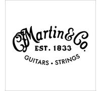 MARTIN corda acustica SP acciaio pieno.010 (M10HTT)