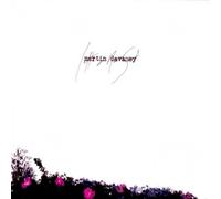 Martin Devaney - Letters never sent