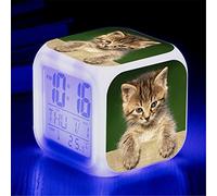 Martin Kench Sveglia gatto ragazzo, sveglia per bambini, regalo per bambini, sveglia digitale con LED, luce notturna, snooze, sveglia a batteria (E)