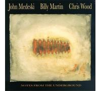 Martin Medeski & Wood - Notes from the Underground