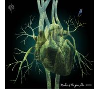 Martin Rubashov Members of the Green Phlox (Vinyl LP) 12" Album
