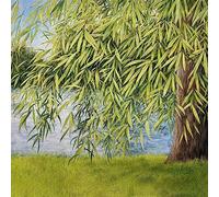 Martin Simpson/Th Nothing But Green Willow: The Songs of Mary Sands and Jan (CD)