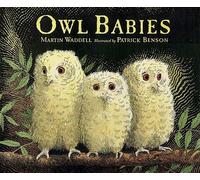 Martin Waddell Owl Babies Big Book (Tascabile)