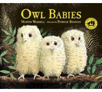 Owl Babies