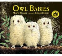 Owl Babies