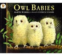 Martin Waddell Owl Babies (Tascabile) Owl Babies