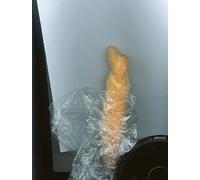 Martin Zet Jeffrey A. Buehler THE SUICIDE OF THE IMAGE (Copertina rigida)