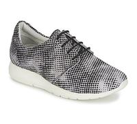 Maruti Sneakers basse WING in Marrone 37