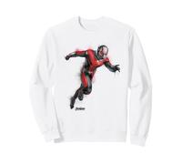 Marvel Ant-Man Scott Lang Avengers Endgame Paint Portrait Felpa