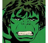 Marvel Comics Stampa su Tela Hulk Close-Up, Poliestere, Multicolore, 40 x 40 cm