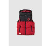 MARVEL, Gilet Imbottito Da Bambino Con Stampa Spider-man Regular Fit, Multicolor, Taglia: 7-8