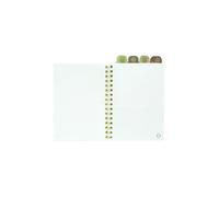 Grupo Erik: Taccuino A5 con Divisori Groot | Quaderno A5 con anelli e divisori, 4 Separatori personalizzati, copertina morbida e pagine puntinate, Quaderno A5 diviso in sezioni