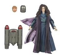 Marvel Legends Series Agatha Harkness, WandaVision Collectible 6-Inch Action Fig
