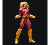 Hasbro Marvel Legends Series, Action Figure da Collezione di Marvel's Husk, Ottima Idea Regalo di Natale, Ispirata ai Fumetti, 15 cm, Confezione con Finestra, per Bambini e Bambine dai 4 Anni in Su