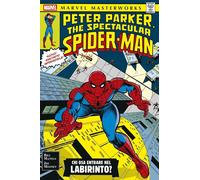 MARVEL MASTERWORKS - THE SPECTACULAR SPIDER-MAN n. 3 Panini