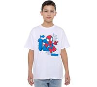Marvel Spider-Man Cute Spidey Compleanno 12 Anni, White T-Shirt, 7-8 Years Unisex Kids