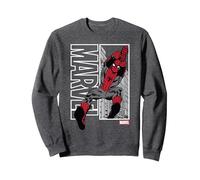 Marvel Spider-Man Marvel Swing Felpa, Unisex per Adulti, Grigio Scuro, XXL