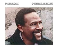 Marvin Gaye - Dream Of A Lifetime