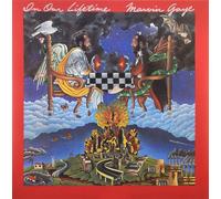 Marvin Gaye - In Our Lifetime- 1 Lp , Reissue, 180g (back to black 2016)