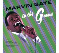 Marvin Gaye In the Groove 12" Album