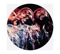 Marvin Gaye - Live Picture Disc