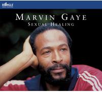 Marvin Gaye - Sexual Healing