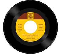 Marvin Gaye Where Are We Going?/Woman of the Wor (Vinyl LP) (PRESALE 29/11/2024)