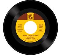 Marvin Gaye Where Are We Going?/Woman of the Wor (Vinyl LP) (PRESALE 29/11/2024)