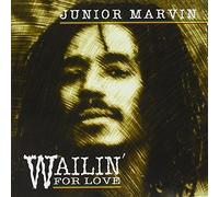 Marvin Junior - Wailin' For Love