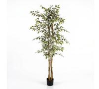 Marvin Pianta Artificiale Decorativa Realistica da Interno, Albero Ornamentale Elegante per Casa, Ufficio, Hotel e Showroom, Foglie ad Alta Definizione, Senza Manutenzione (Ficus 180H 2 Fusti/18 Ram)