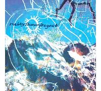 Mary Anne's Polar Rig Makes You Happy (Vinyl LP)