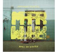 Mary Anne's Polar Rig Makes You Wonder (CD) Album