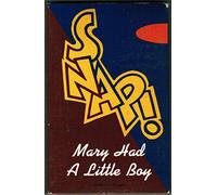 Mary Had a Little Boy