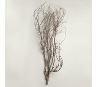 Mary Jane Leach - Woodwind Multiples