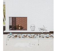 Lattimore Mary & Jeff Zeigler - Slant Of Light