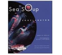 Mary M. Cerullo Sea Soup (Copertina rigida)