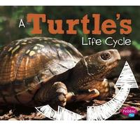 Mary R Dunn A Turtles Life Cycle (Explore Life Cycles) (Tascabile)