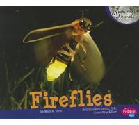 Mary R Dunn Fireflies (Tascabile) Nocturnal Animals