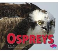 Mary R Dunn Ospreys (Copertina rigida) Birds of Prey