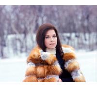 Mary Tyler Moore Poster Stampa 61x50.8cm Cool Immagine 277007