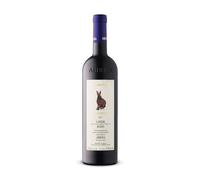 Marziano Abbona - Langhe Rosso DOC I Due Ricu 2021 0,75 lt.