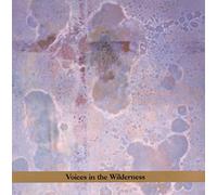 Masada Anniversary 2 - Voices In The Wilderness
